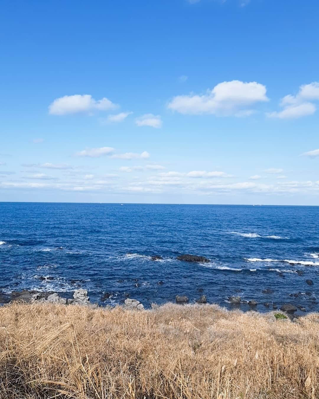 제주도 여행 개인적인 팁